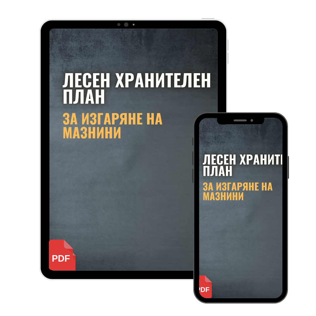 Лесен хранителен план за изгаряне на мазнини (PDF)